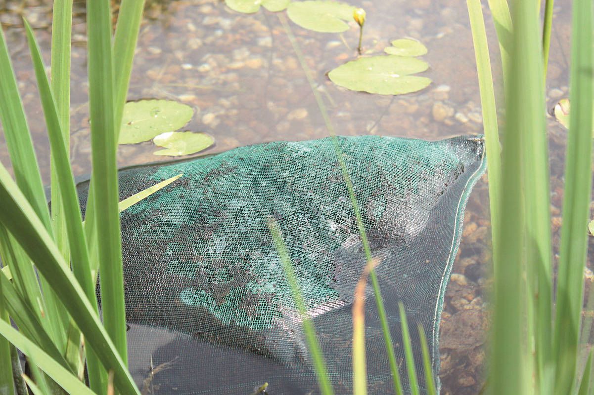 AquaActiv AquaHumin 10 l
