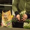 SUBSTRAL® NATUREN® Universalerde Bio & Torffrei 5L