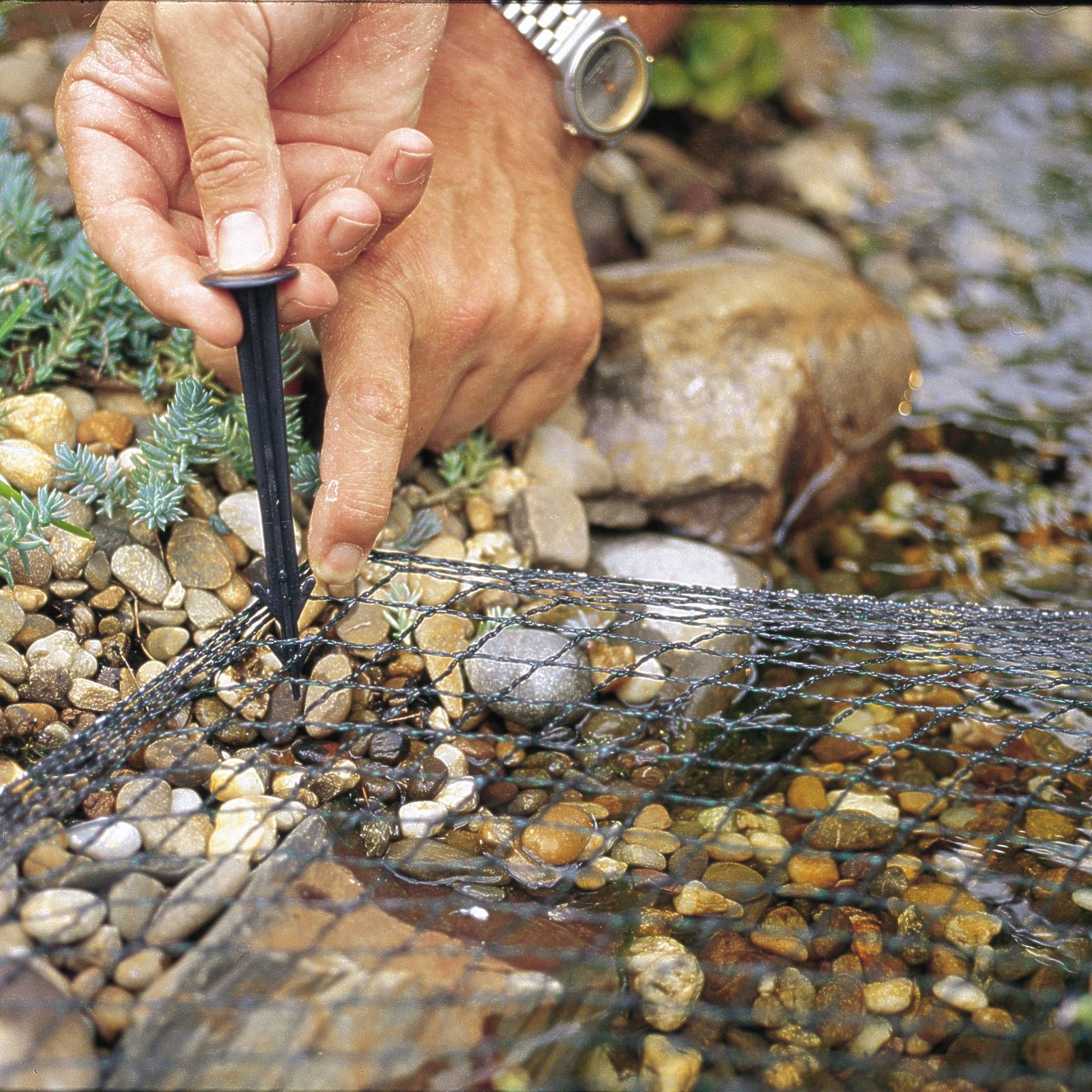 AquaNet Teichnetz 3 / 6 x 10 m