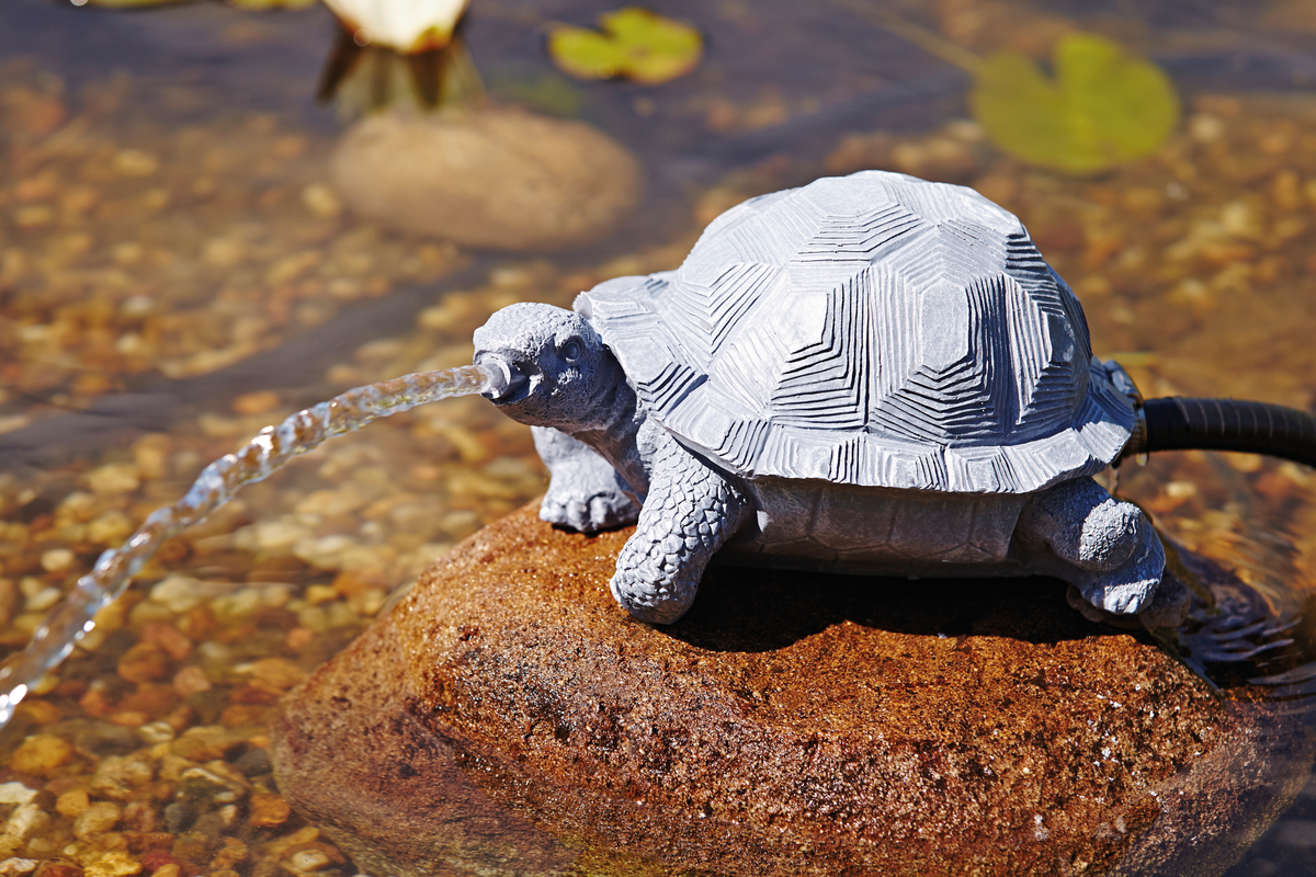 Wasserspeier Schildkröte