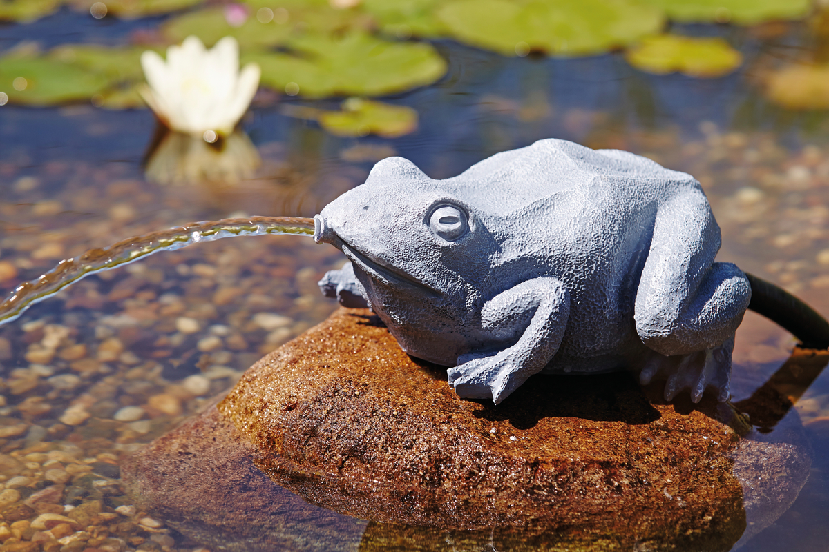 Wasserspeier Frosch