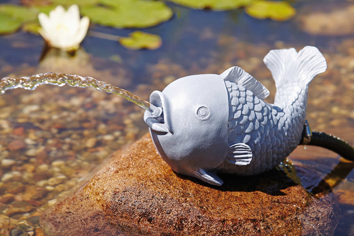 Wasserspeier Fisch